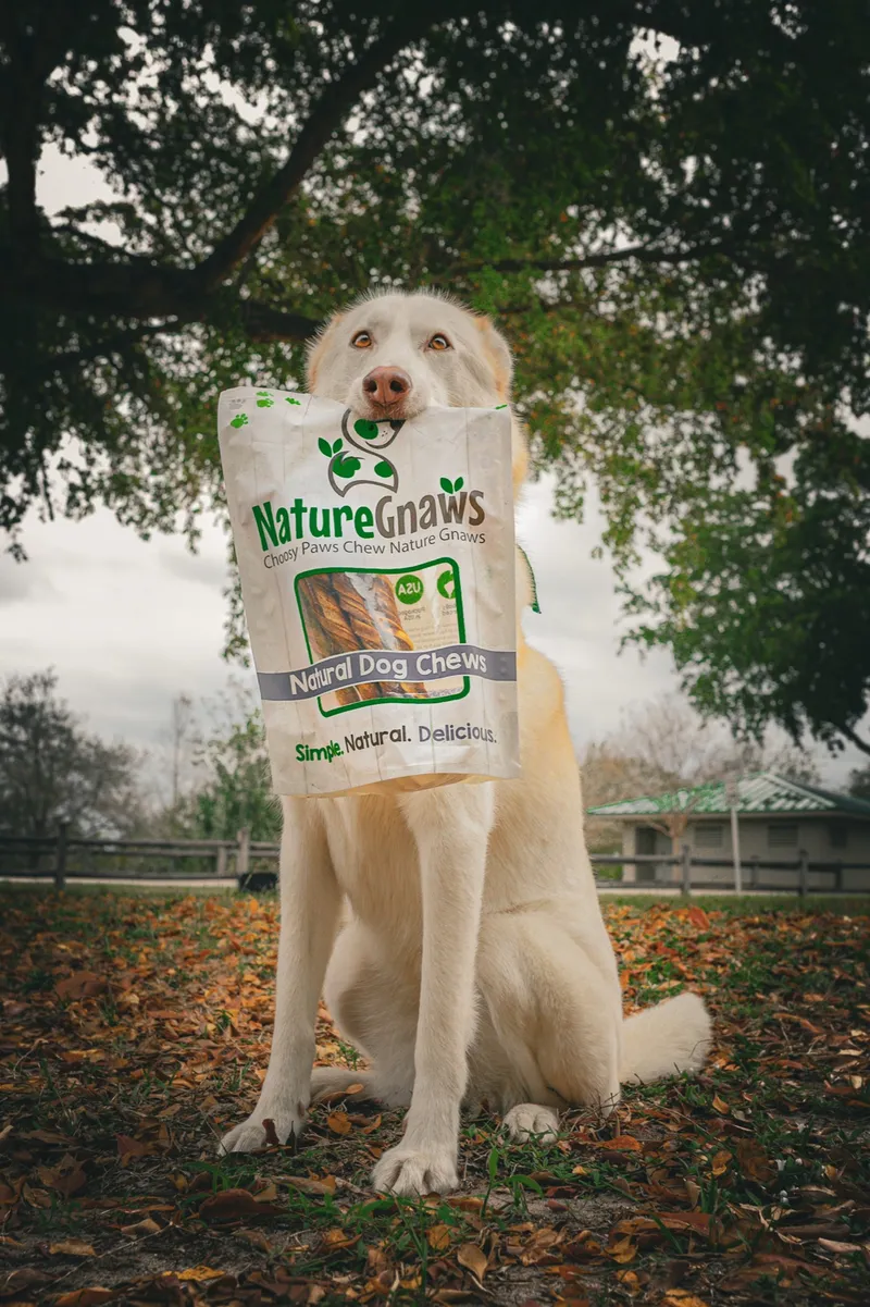 Nature Gnaws by Lunna Agency, South Florida